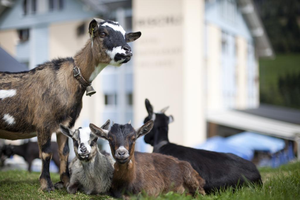 Hotel Rischli Sörenberg Eksteriør billede